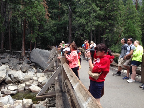 Visitors taking photos at Lower Yosemite Falls